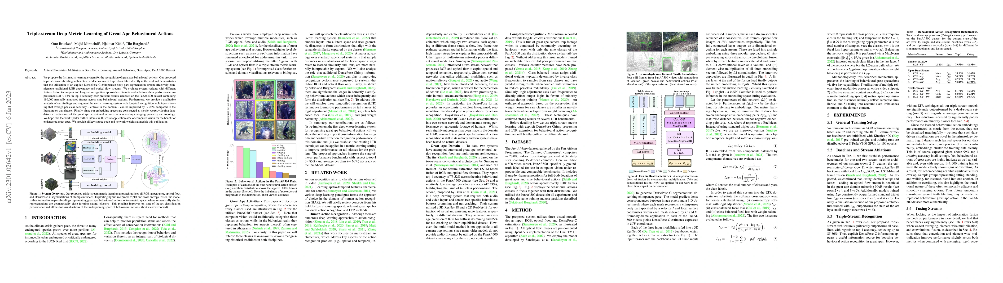 Thumbnail for Triple-stream Deep Metric Learning of Great Ape Behavioural Actions