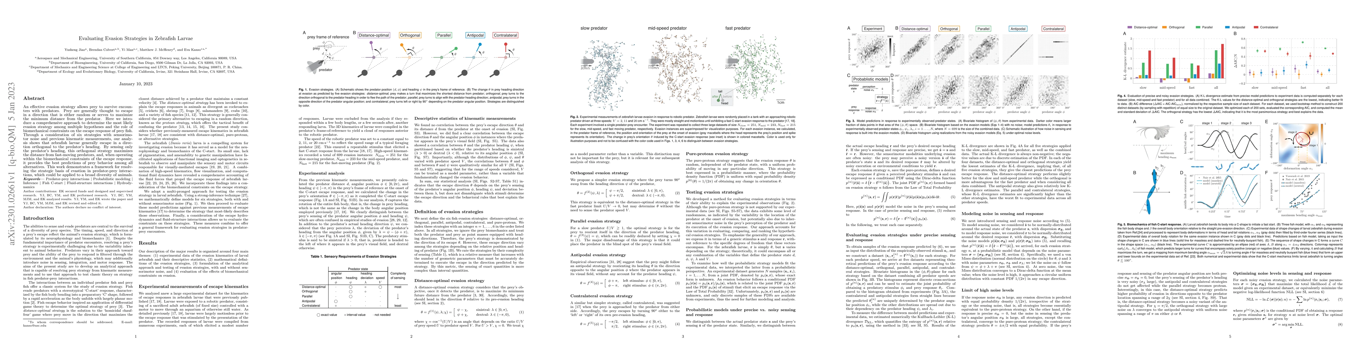 Thumbnail for Evaluating Evasion Strategies in Zebrafish Larvae
