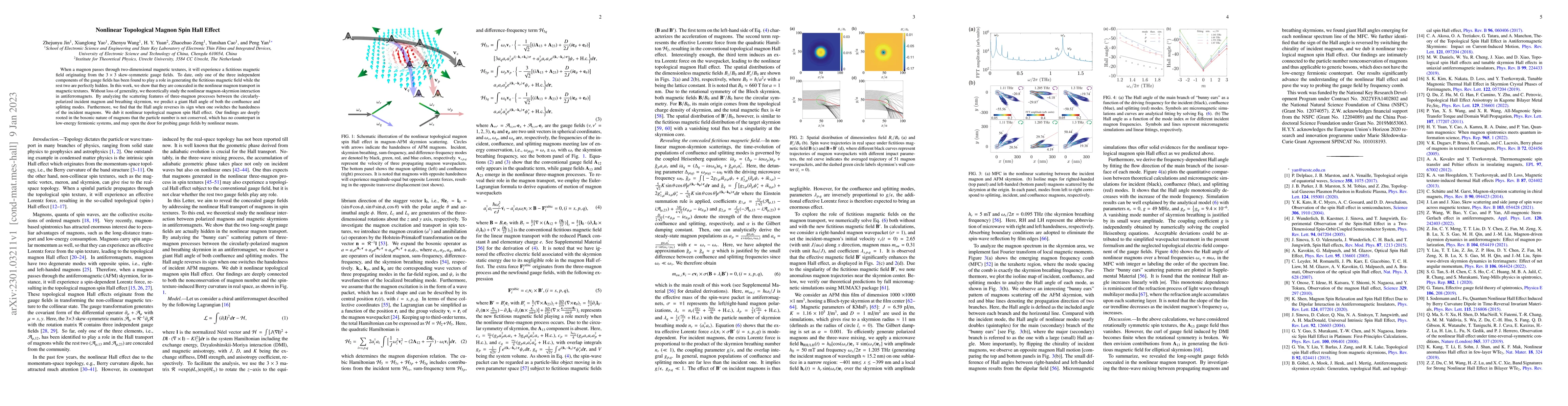 Thumbnail for Nonlinear Topological Magnon Spin Hall Effect
