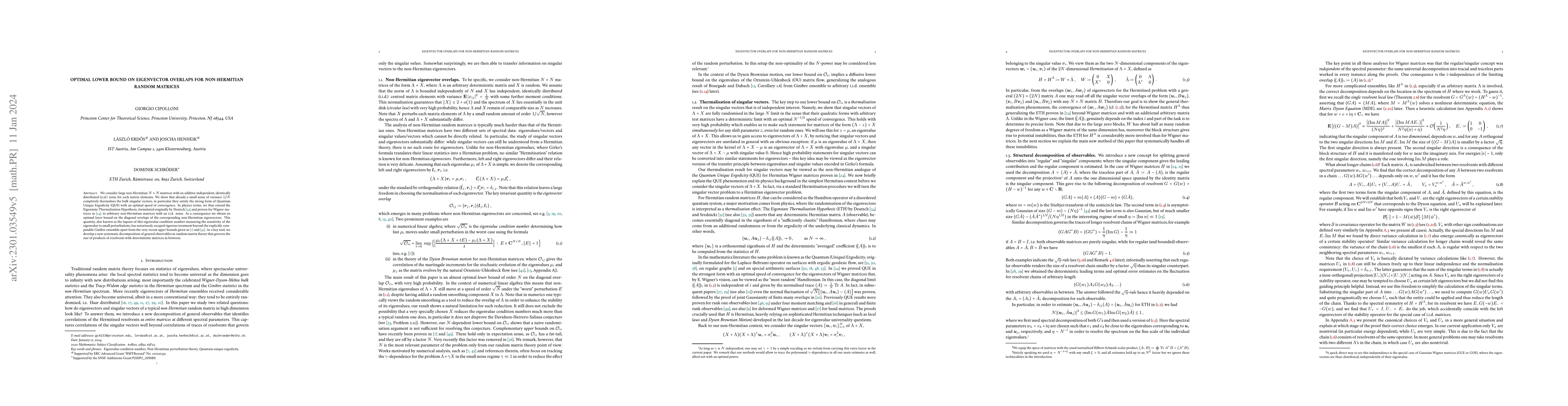 Thumbnail for Optimal Lower Bound on Eigenvector Overlaps for non-Hermitian Random
  Matrices