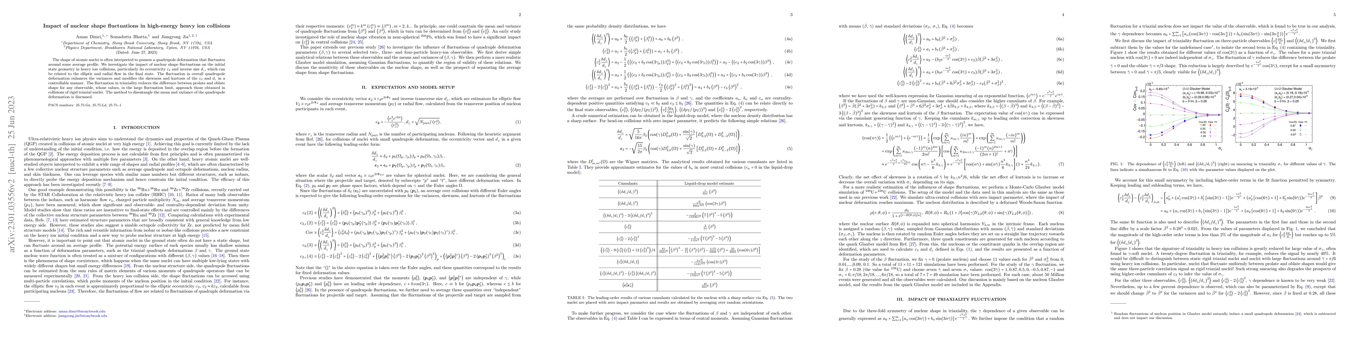 Thumbnail for Impact of nuclear shape fluctuations in high-energy heavy ion collisions