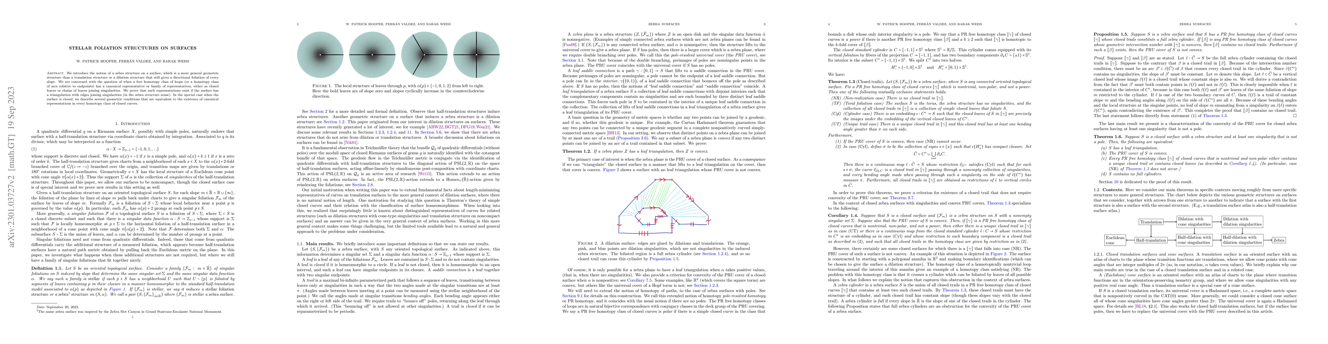 Thumbnail for Stellar foliation structures on surfaces