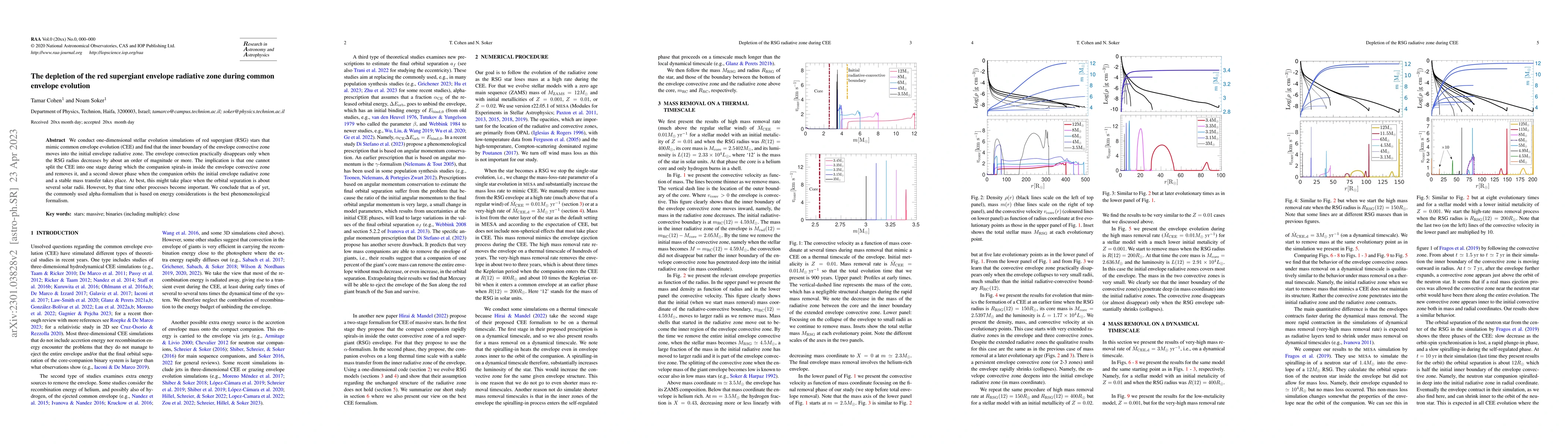 Thumbnail for The depletion of the red supergiant envelope radiative zone during
  common envelope evolution