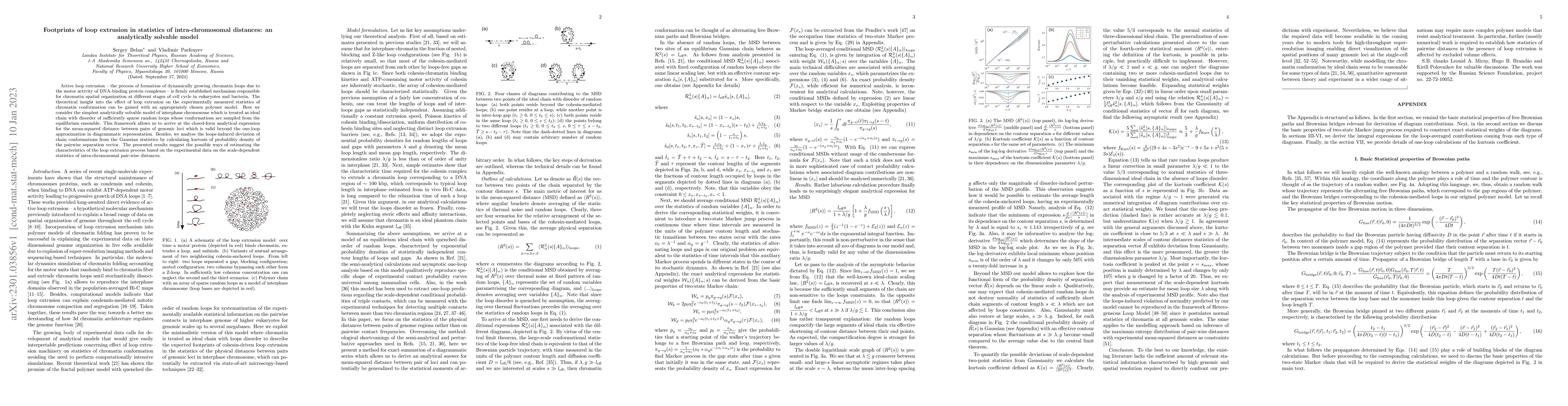 Thumbnail for Footprints of loop extrusion in statistics of intra-chromosomal
  distances: an analytically solvable model