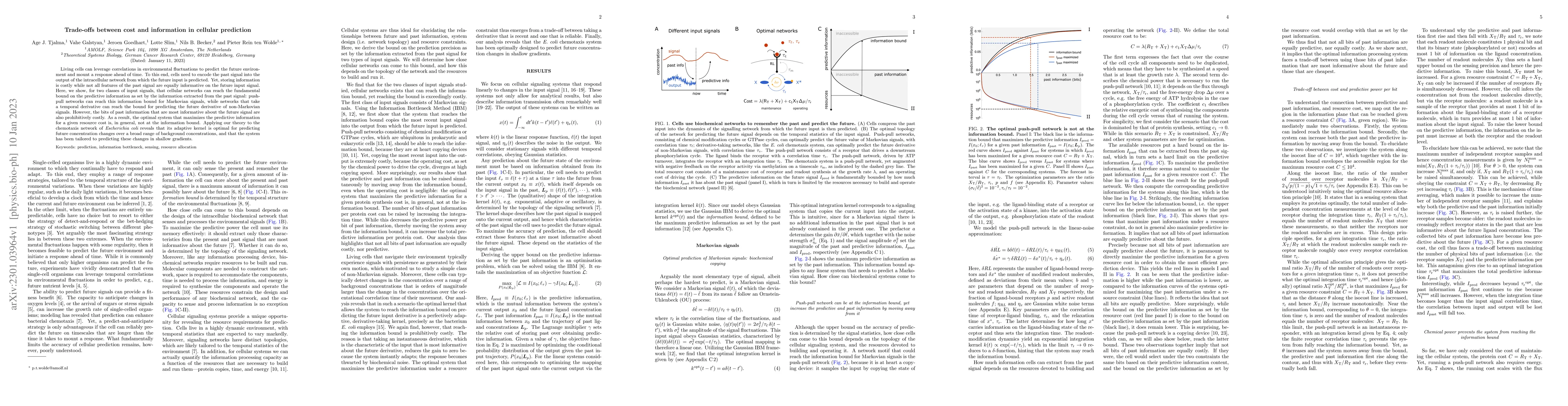 Thumbnail for Trade-offs between cost and information in cellular prediction
