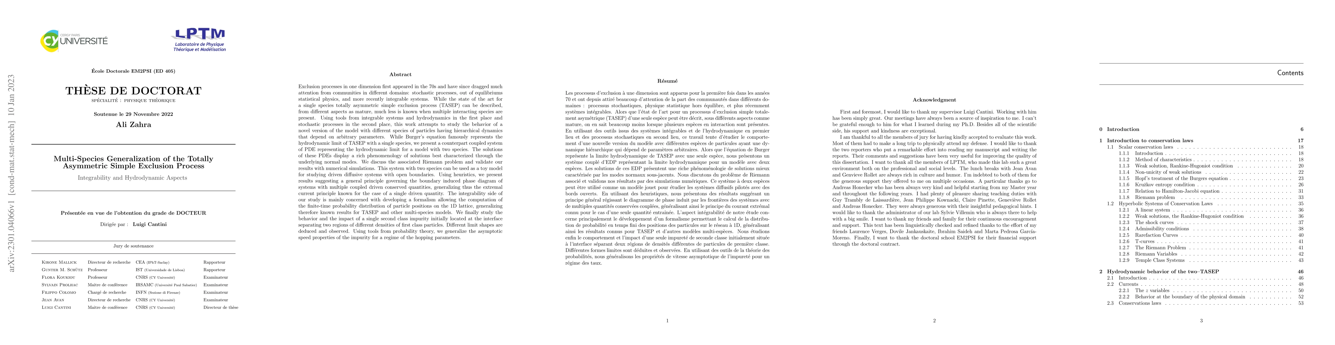 Thumbnail for Multi-species generalization of the totally asymmetric simple exclusion
  process