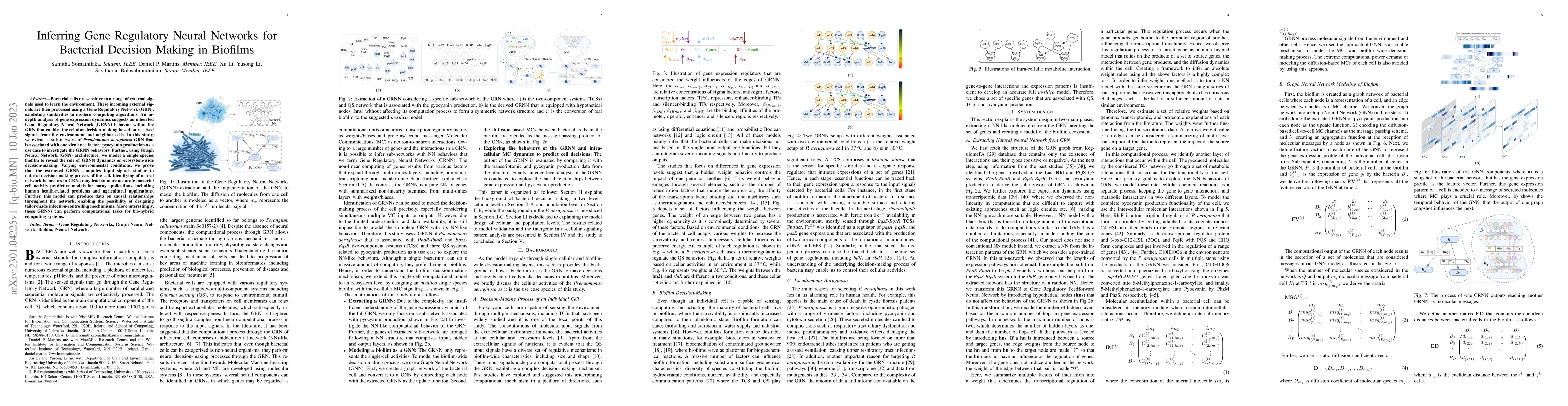 Thumbnail for Inferring Gene Regulatory Neural Networks for Bacterial Decision Making
  in Biofilms