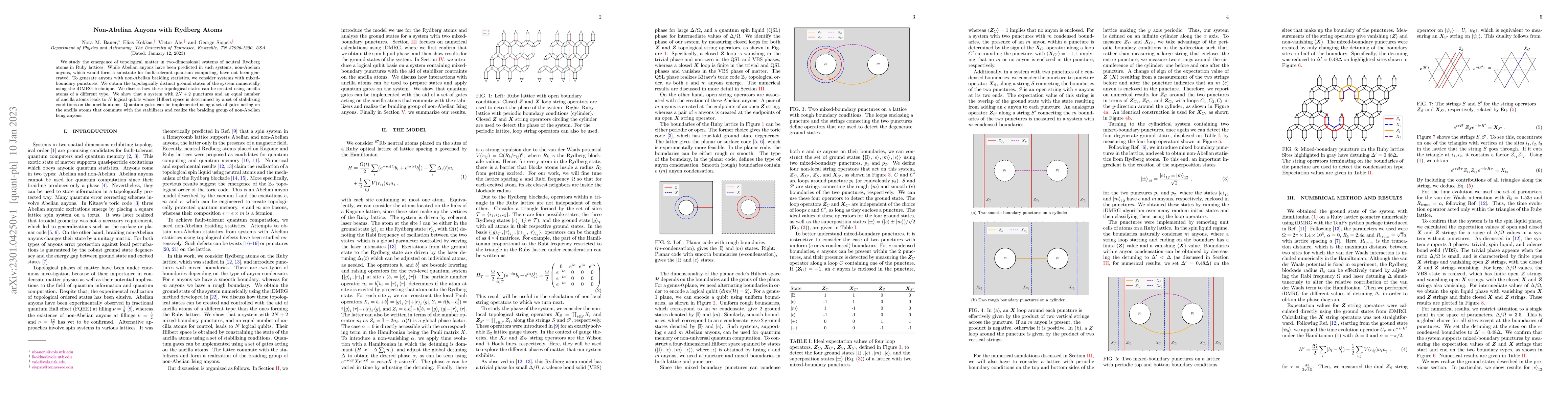 Thumbnail for Non-Abelian Anyons with Rydberg Atoms