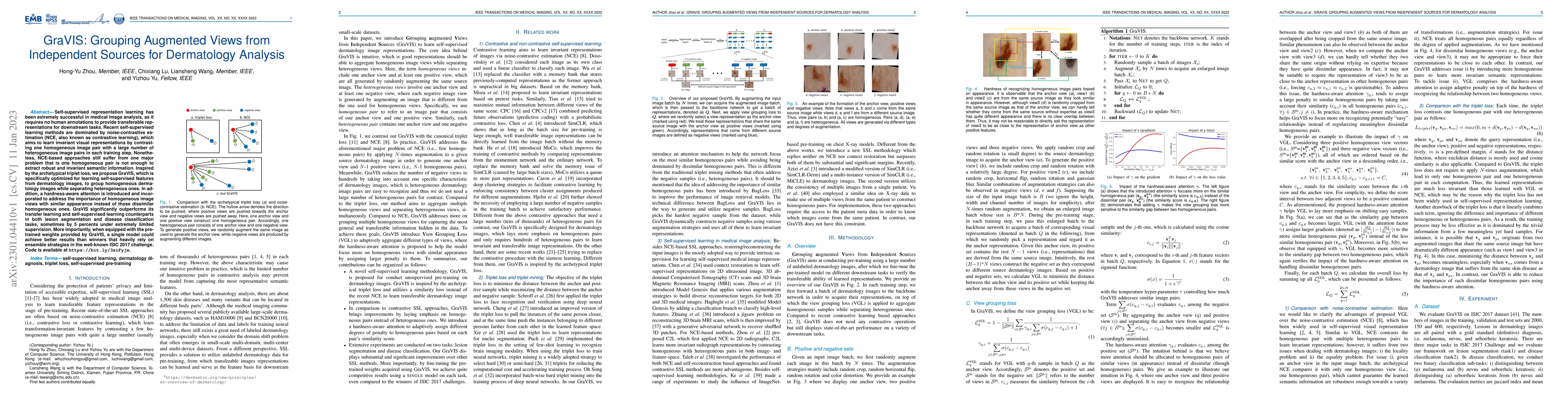 Thumbnail for GraVIS: Grouping Augmented Views from Independent Sources for
  Dermatology Analysis