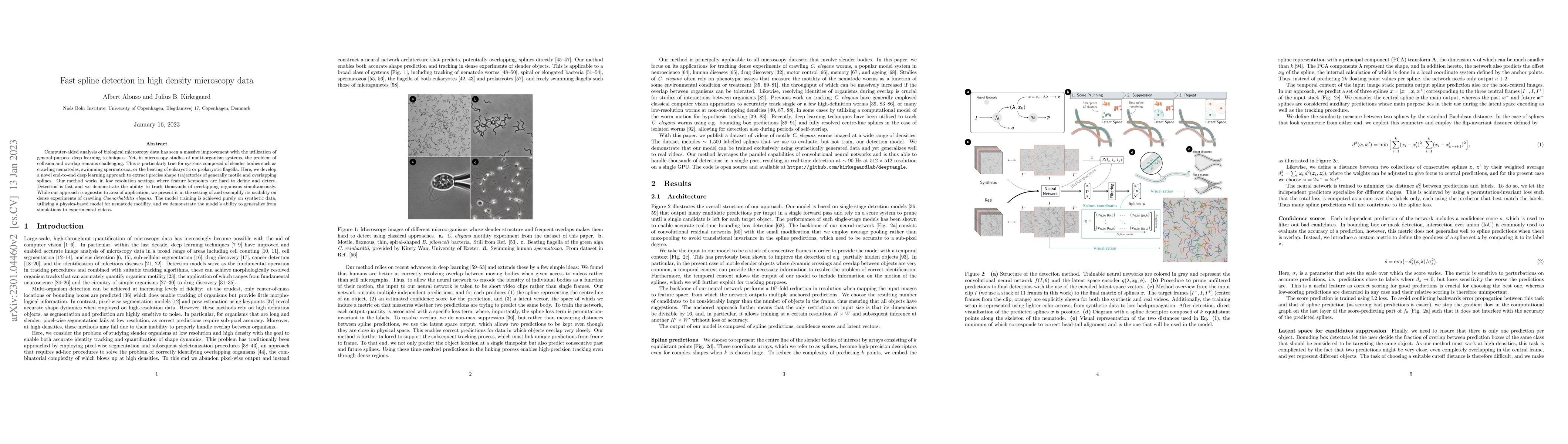Thumbnail for Fast spline detection in high density microscopy data