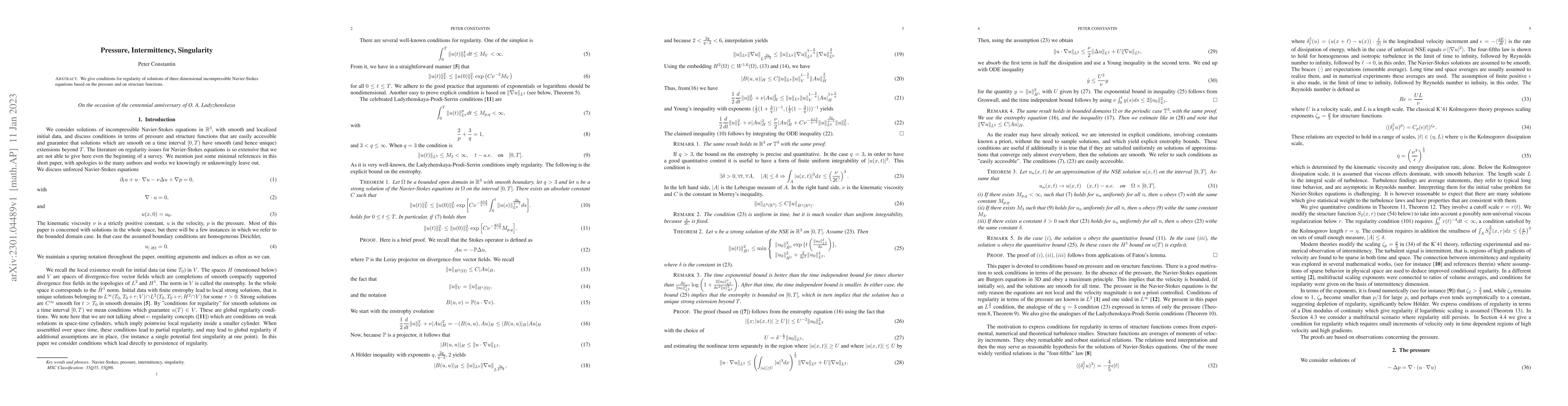 Thumbnail for Pressure, Intermittency, Singularity