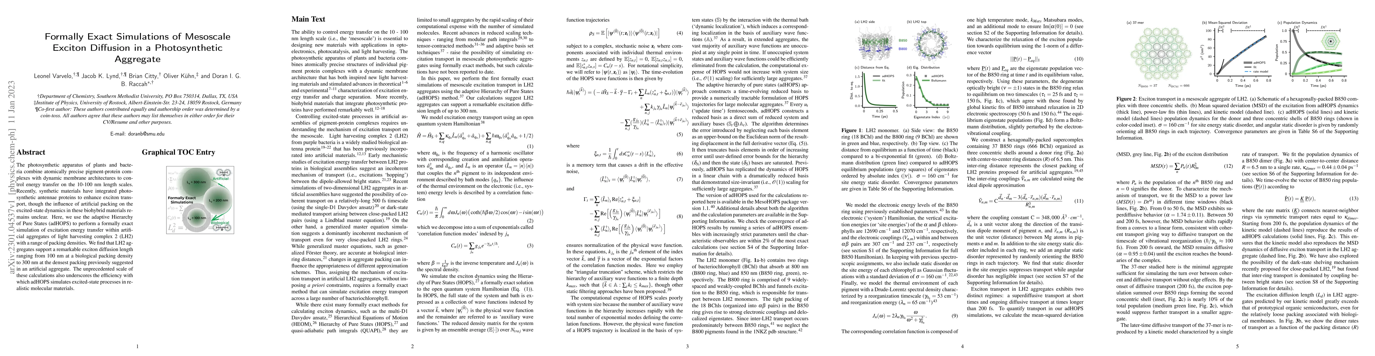Thumbnail for Formally Exact Simulations of Mesoscale Exciton Diffusion in a
  Photosynthetic Aggregate
