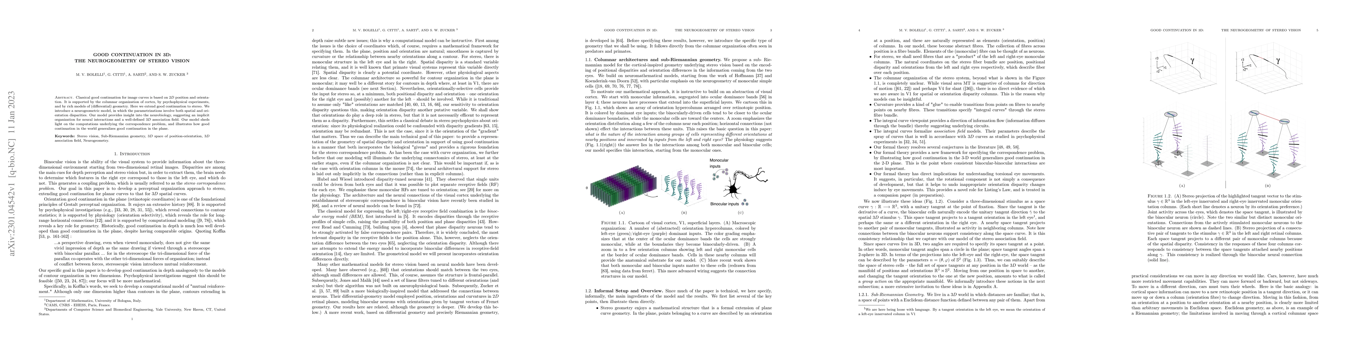 Thumbnail for Good continuation in 3D: the neurogeometry of stereo vision