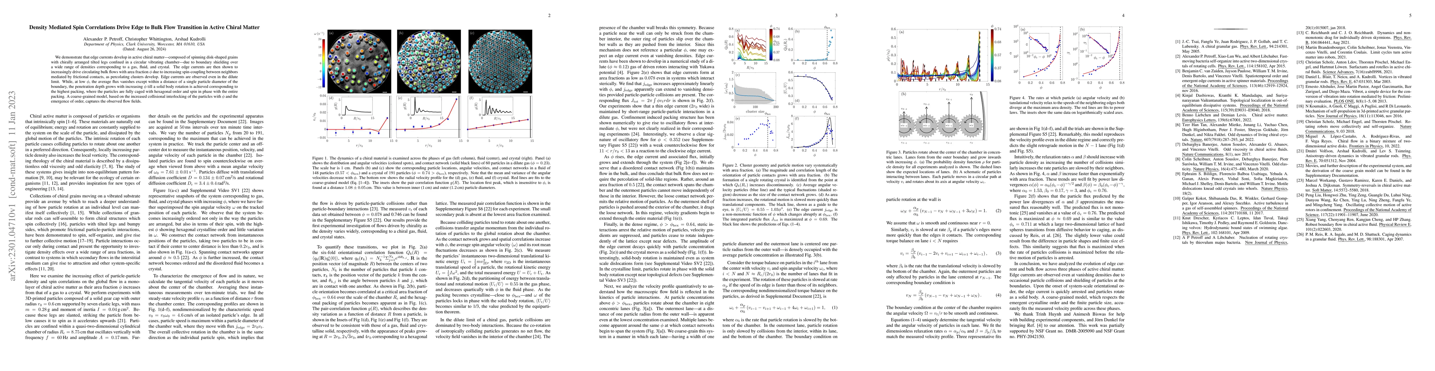 Thumbnail for Density Mediated Spin Correlations Drive Edge to Bulk Flow Transition in
  Active Chiral Matter