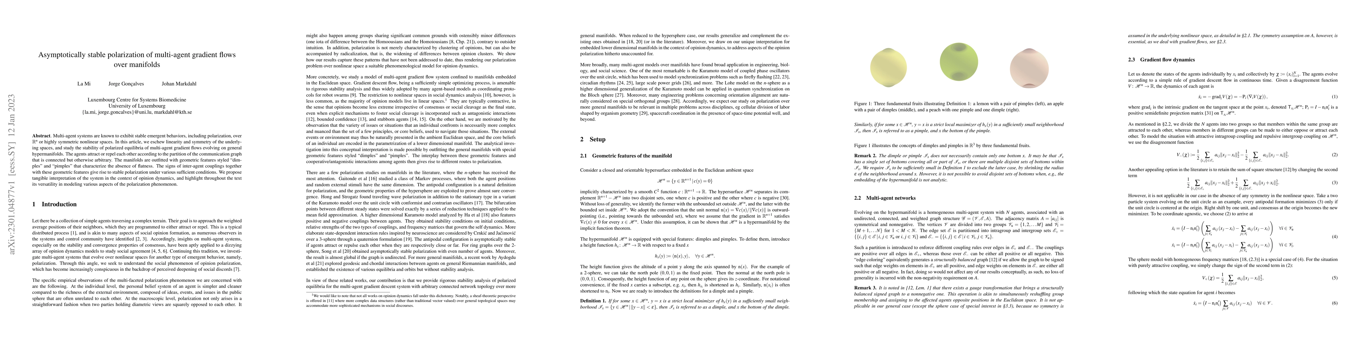 Thumbnail for Asymptotically stable polarization of multi-agent gradient flows over
  manifolds