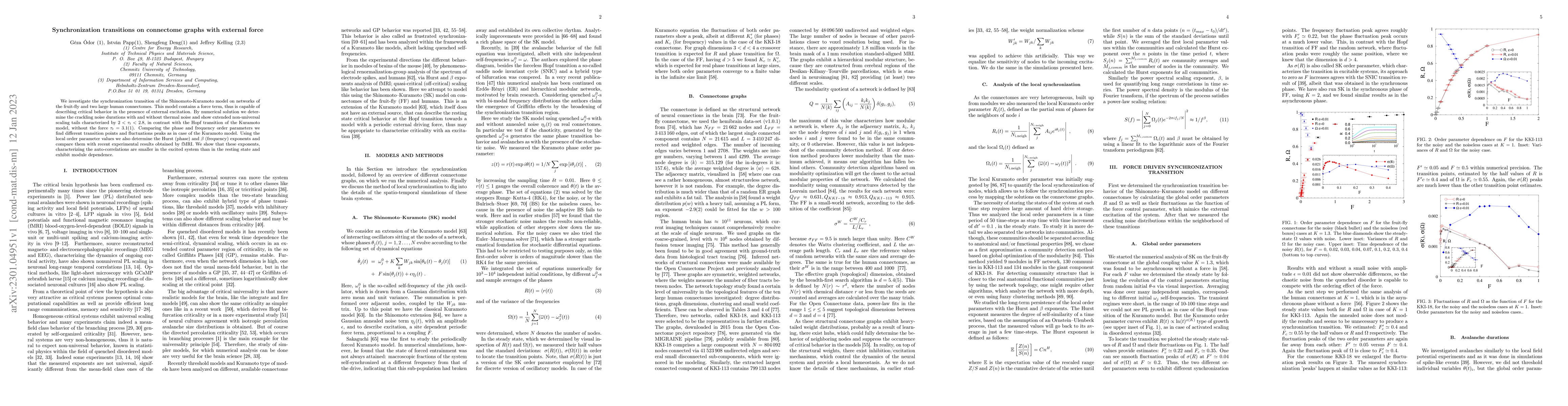 Thumbnail for Synchronization transitions on connectome graphs with external force