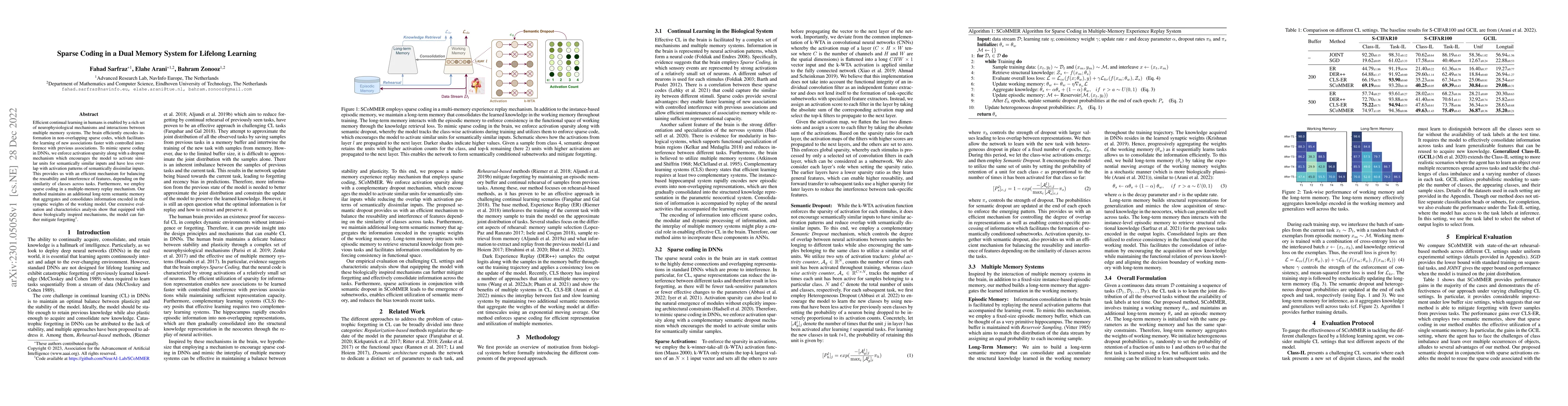 Thumbnail for Sparse Coding in a Dual Memory System for Lifelong Learning