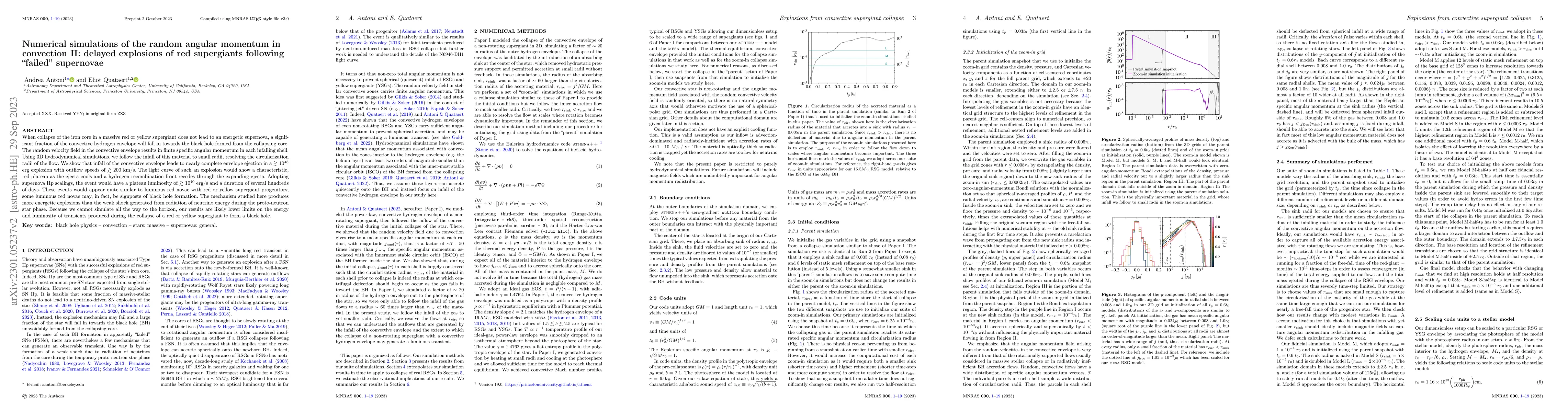 Thumbnail for Numerical simulations of the random angular momentum in convection II:
  delayed explosions of red supergiants following "failed'' supernovae