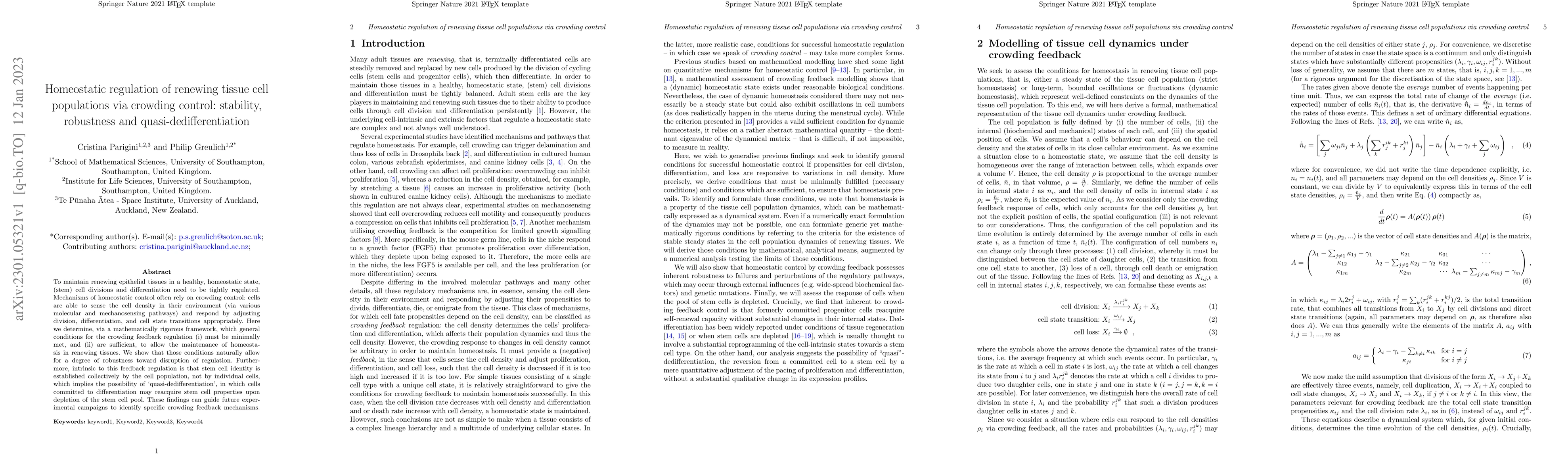Thumbnail for Homeostatic regulation of renewing tissue cell populations via crowding
  control