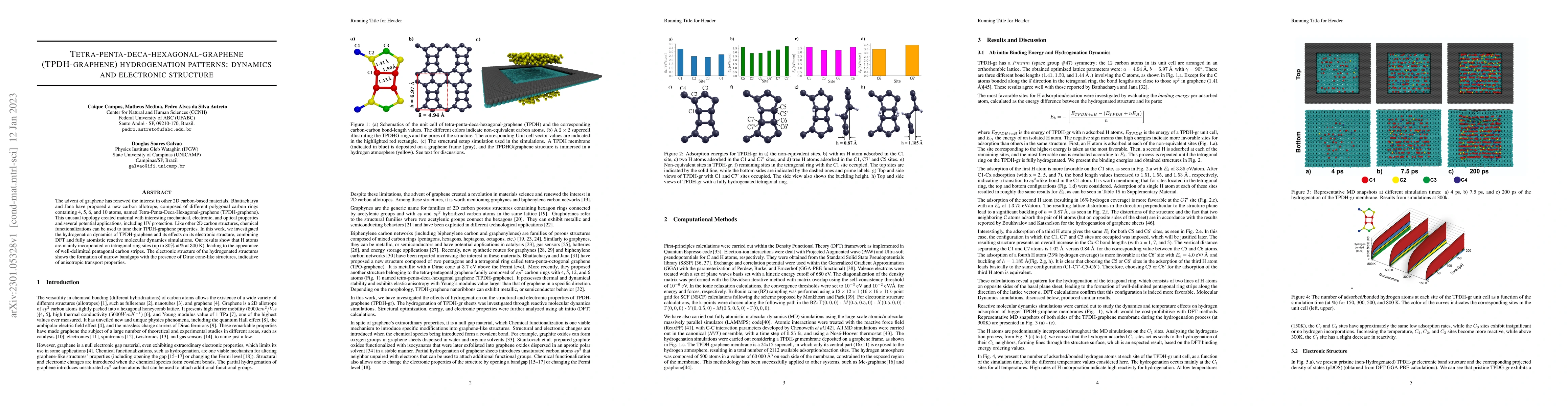 Thumbnail for Tetra-penta-deca-hexagonal-graphene (TPDH-graphene) hydrogenation
  patterns: dynamics and electronic structure