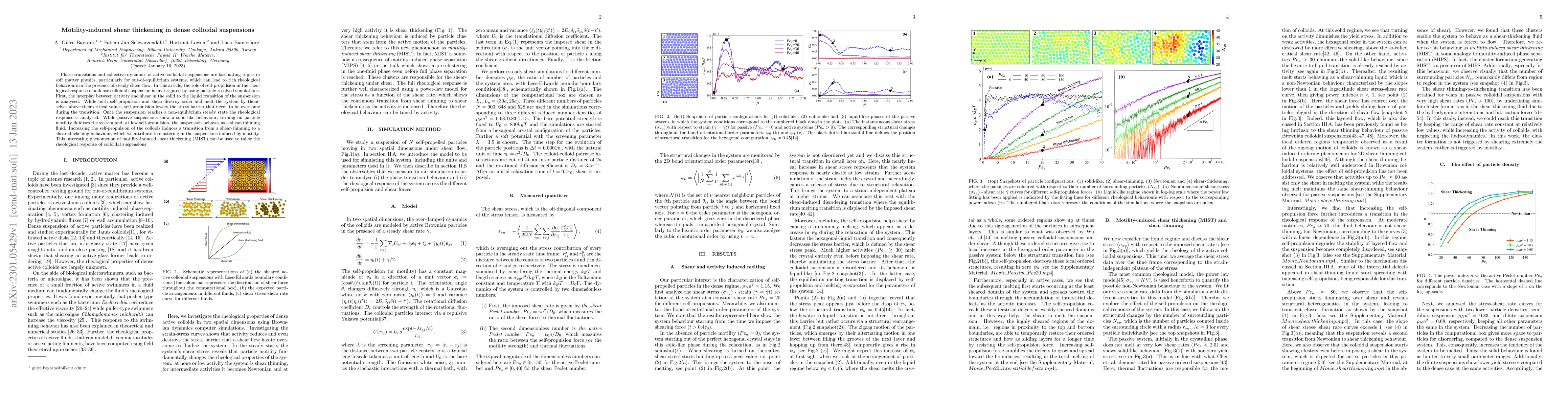 Thumbnail for Motility-induced shear thickening in dense colloidal suspensions