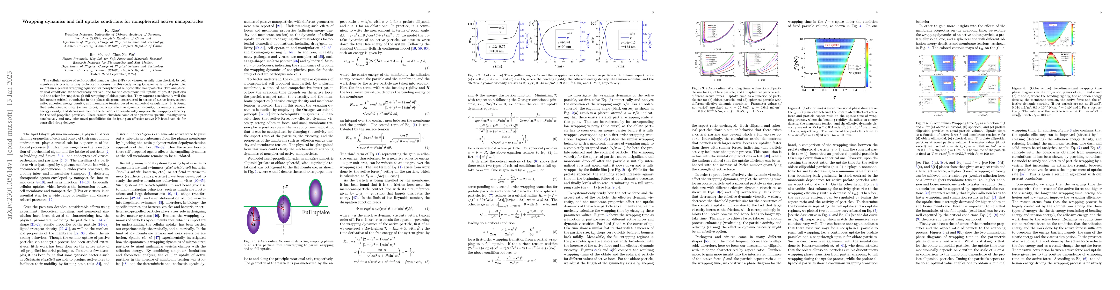 Thumbnail for Wrapping dynamics and full uptake conditions for nonspherical active
  nanoparticles