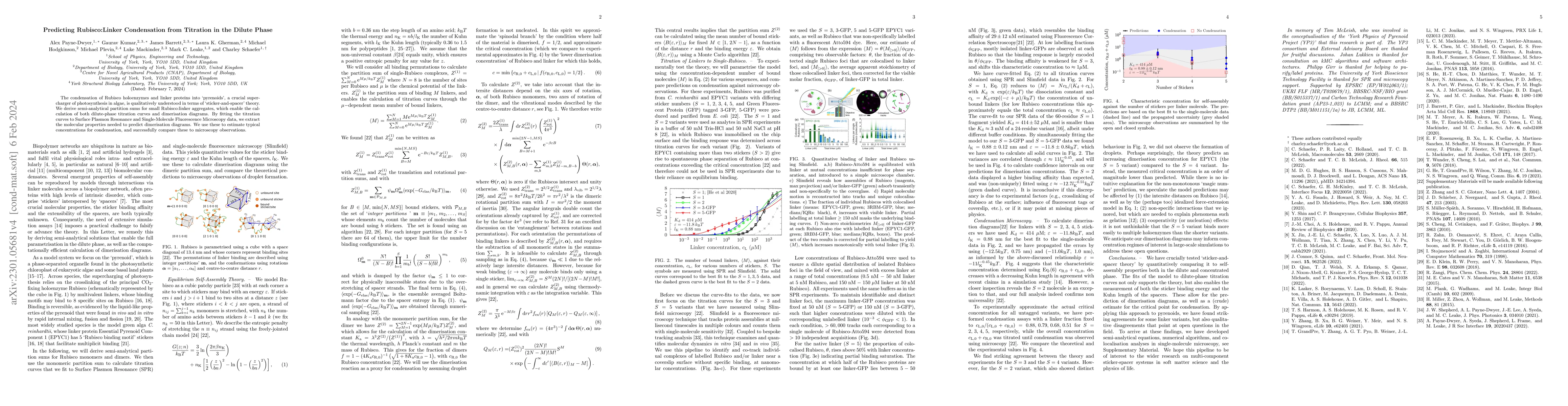 Thumbnail for Predicting Rubisco:Linker Condensation from Titration in the Dilute
  Phase