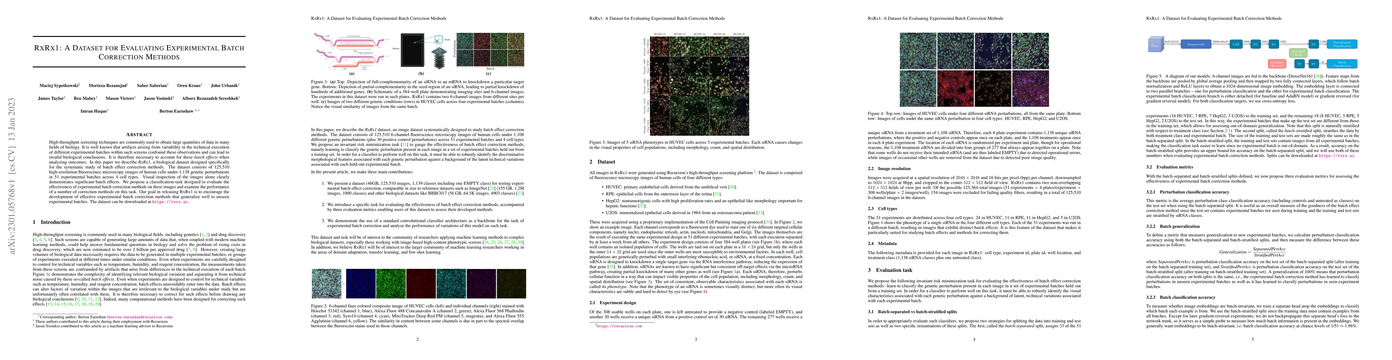 Thumbnail for RxRx1: A Dataset for Evaluating Experimental Batch Correction Methods