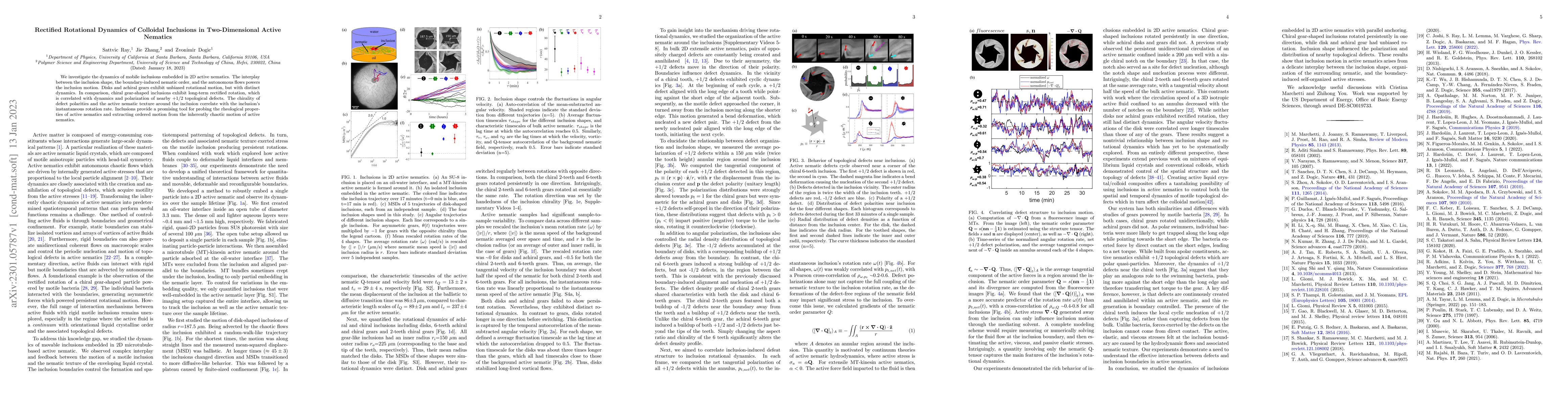 Thumbnail for Rectified Rotational Dynamics of Mobile Inclusions in Two-Dimensional
  Active Nematics