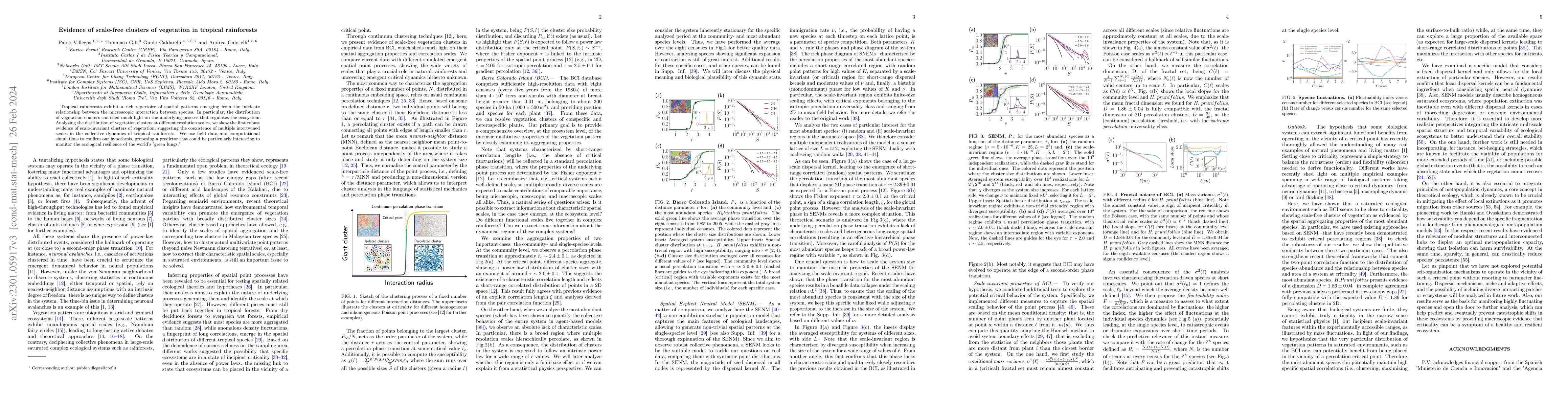 Thumbnail for Evidence of scale-free clusters of vegetation in tropical rainforests