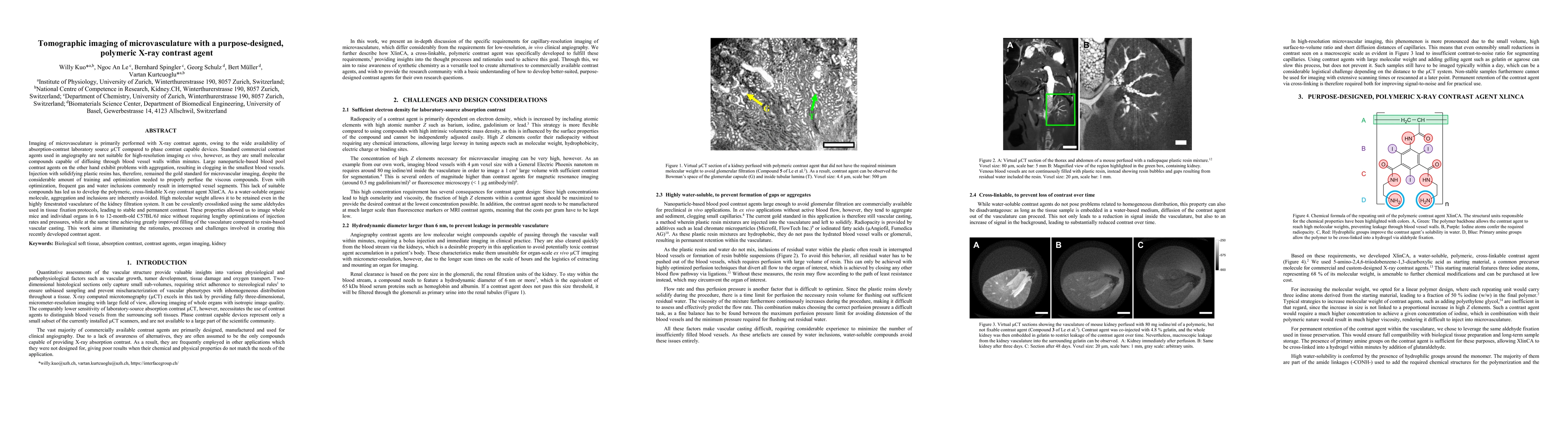 Thumbnail for Tomographic imaging of microvasculature with a purpose-designed,
  polymeric X-ray contrast agent