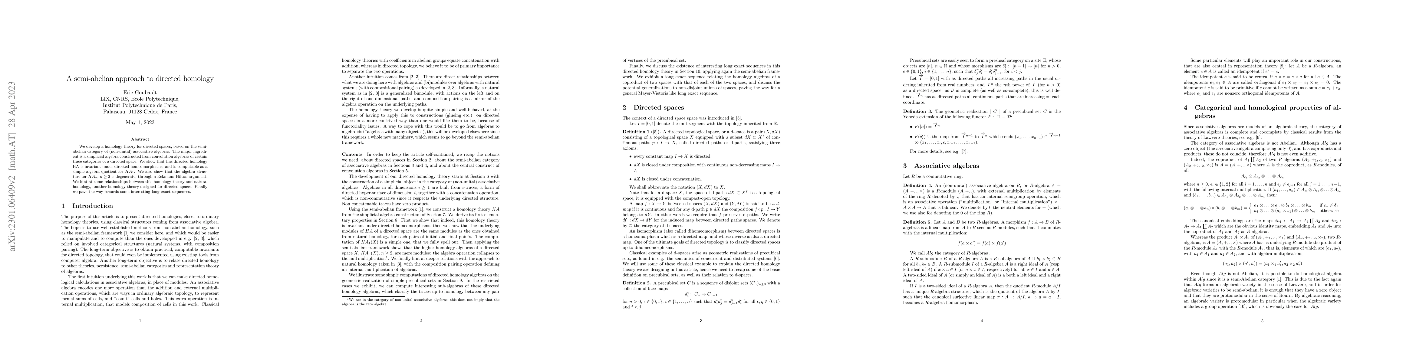 Thumbnail for A semi-abelian approach to directed homology