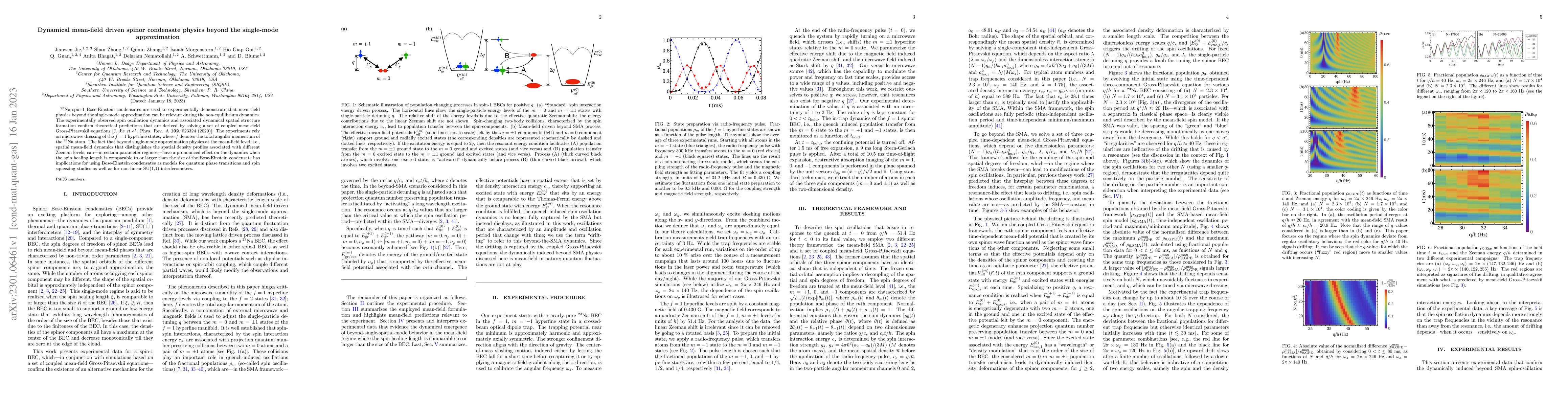 Thumbnail for Dynamical mean-field driven spinor condensate physics beyond the
  single-mode approximation