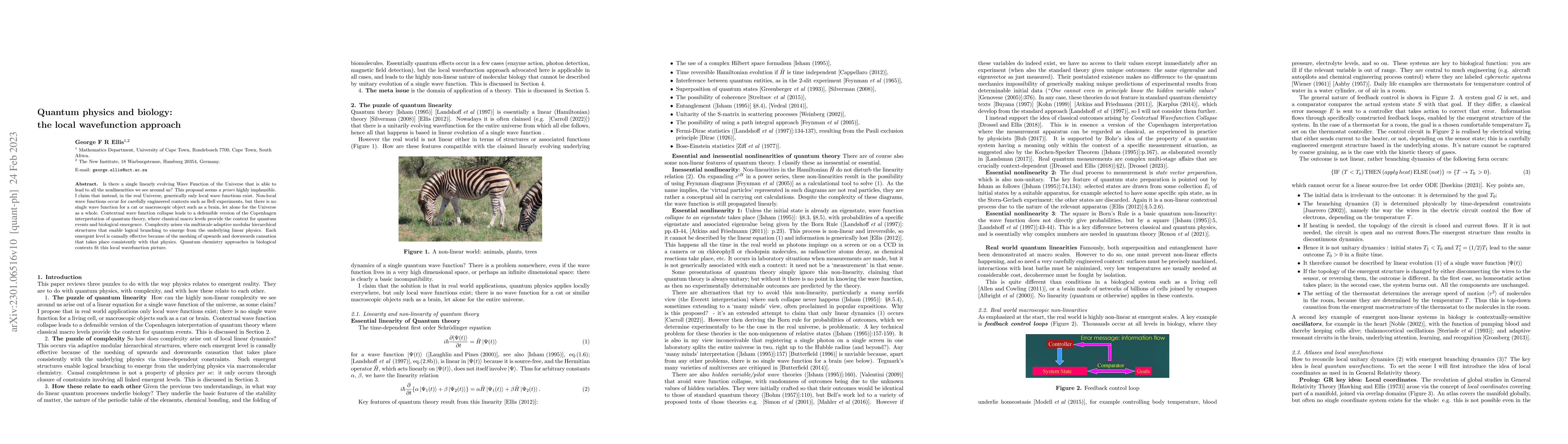 Thumbnail for Quantum physics and biology: the local wavefunction approach