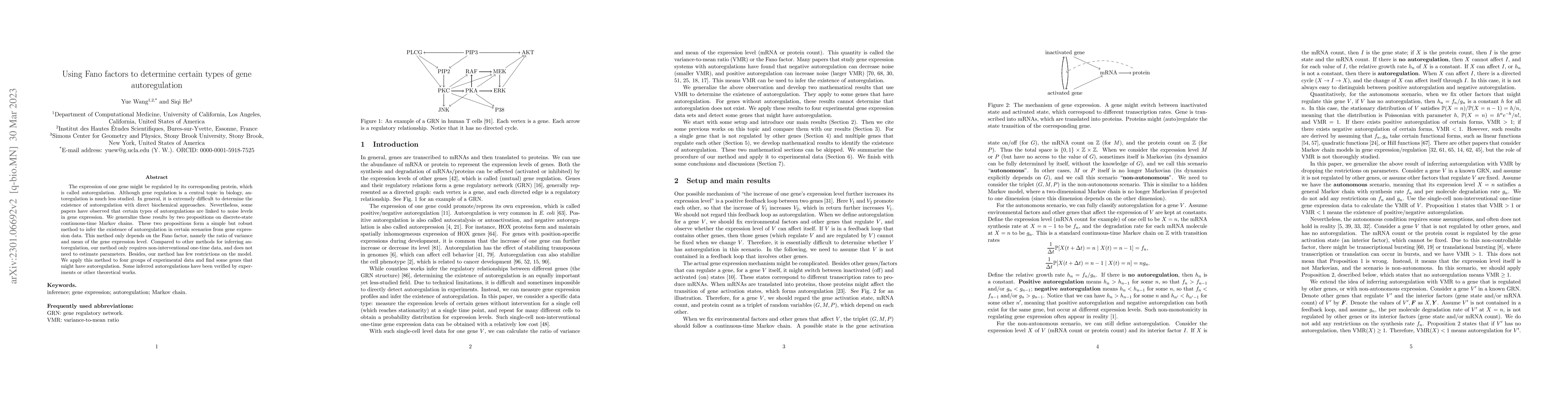 Thumbnail for Using Fano factors to determine certain types of gene autoregulation