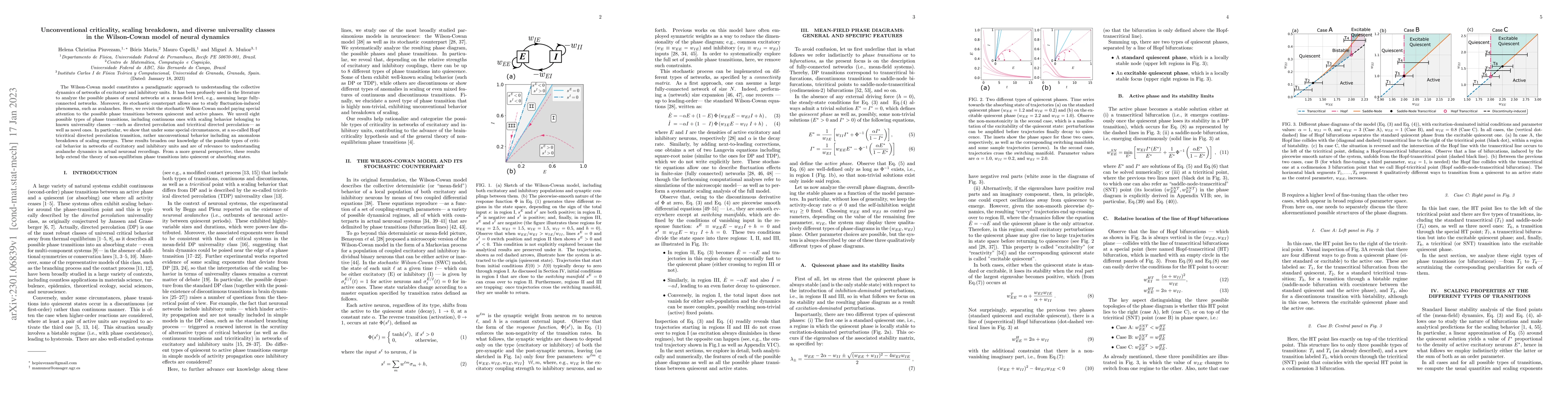 Thumbnail for Unconventional criticality, scaling breakdown, and diverse universality
  classes in the Wilson-Cowan model of neural dynamics