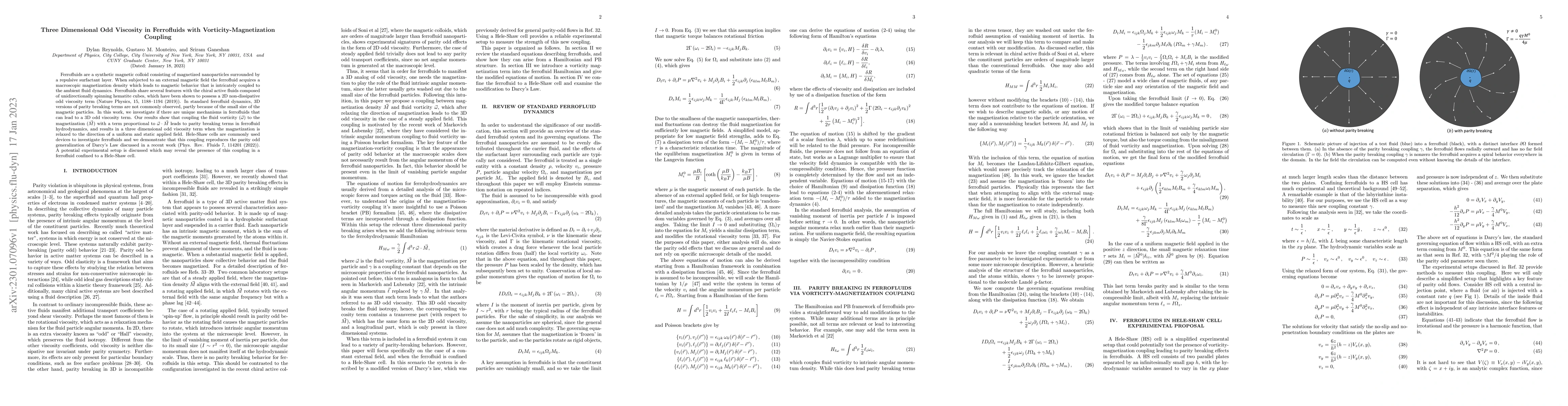 Thumbnail for Three Dimensional Odd Viscosity in Ferrofluids with
  Vorticity-Magnetization Coupling