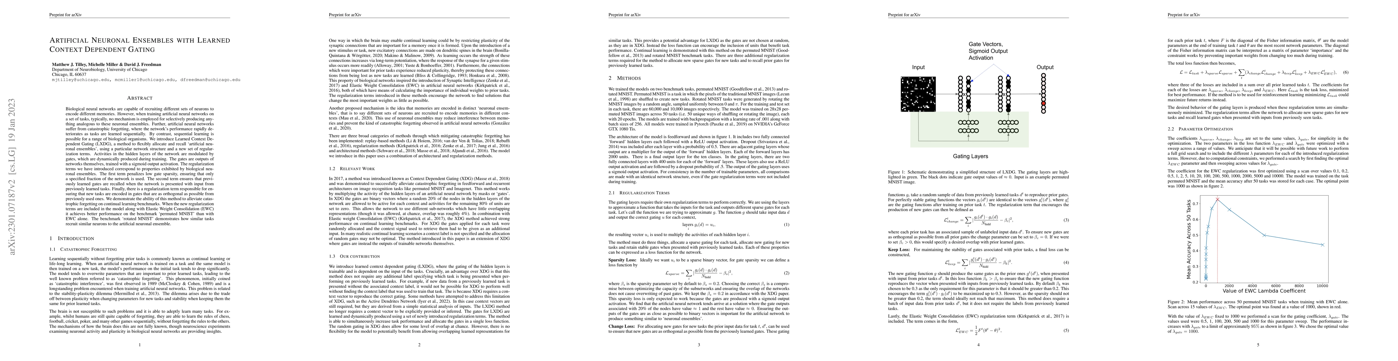 Thumbnail for Artificial Neuronal Ensembles with Learned Context Dependent Gating