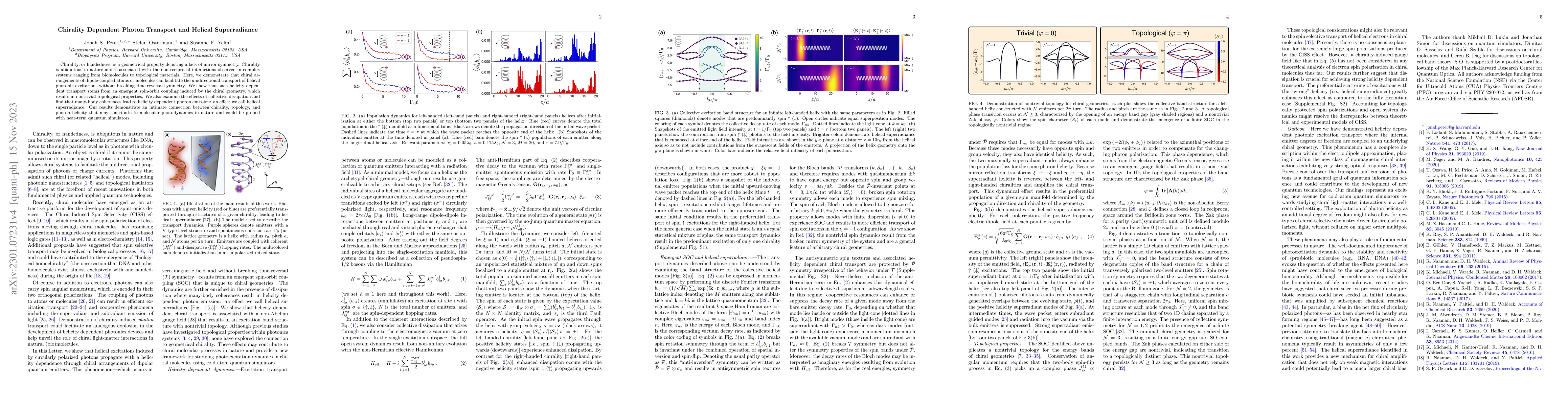 Thumbnail for Chirality Dependent Photon Transport and Helical Superradiance