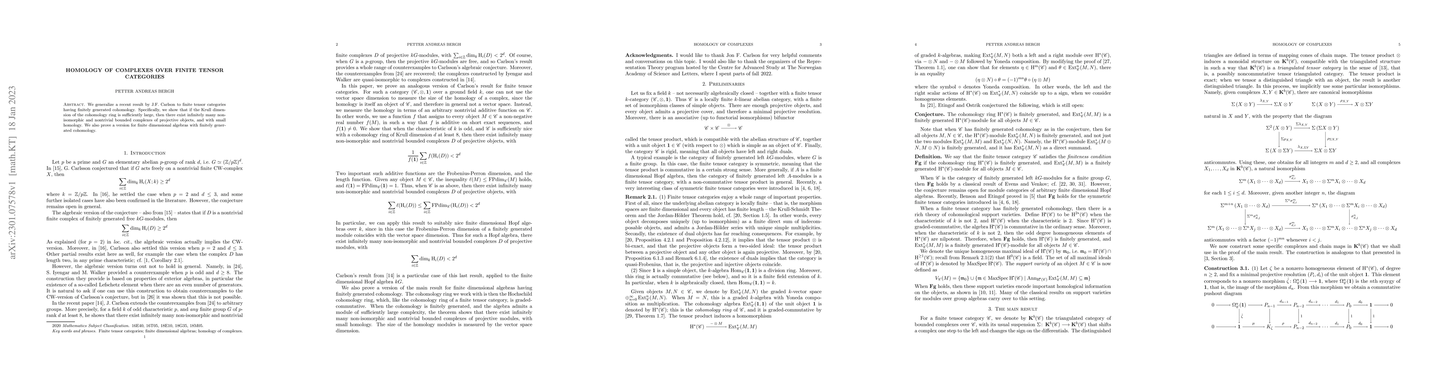 Thumbnail for Homology of complexes over finite tensor categories