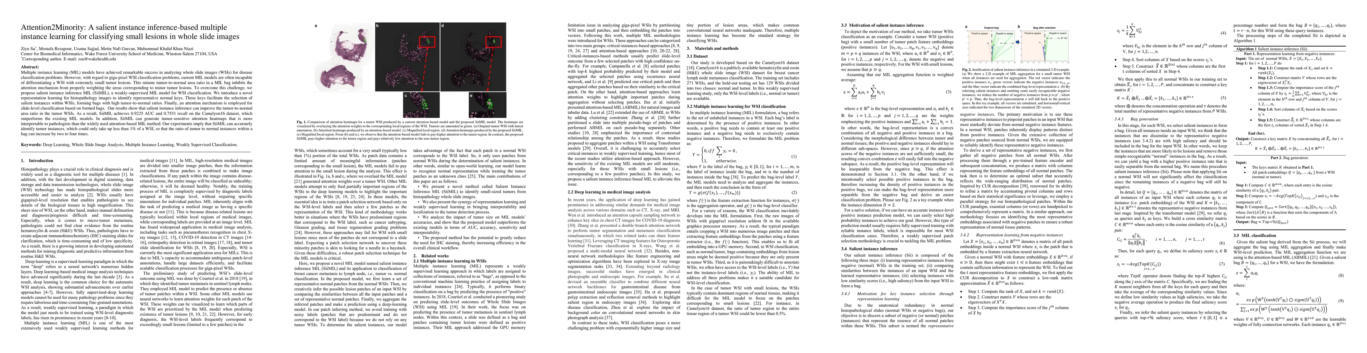 Thumbnail for Attention2Minority: A salient instance inference-based multiple instance
  learning for classifying small lesions in whole slide images