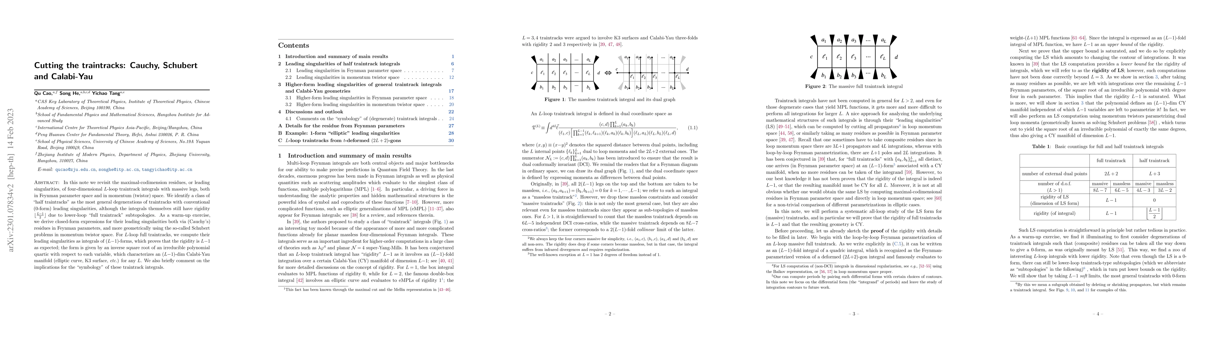 Thumbnail for Cutting the traintracks: Cauchy, Schubert and Calabi-Yau