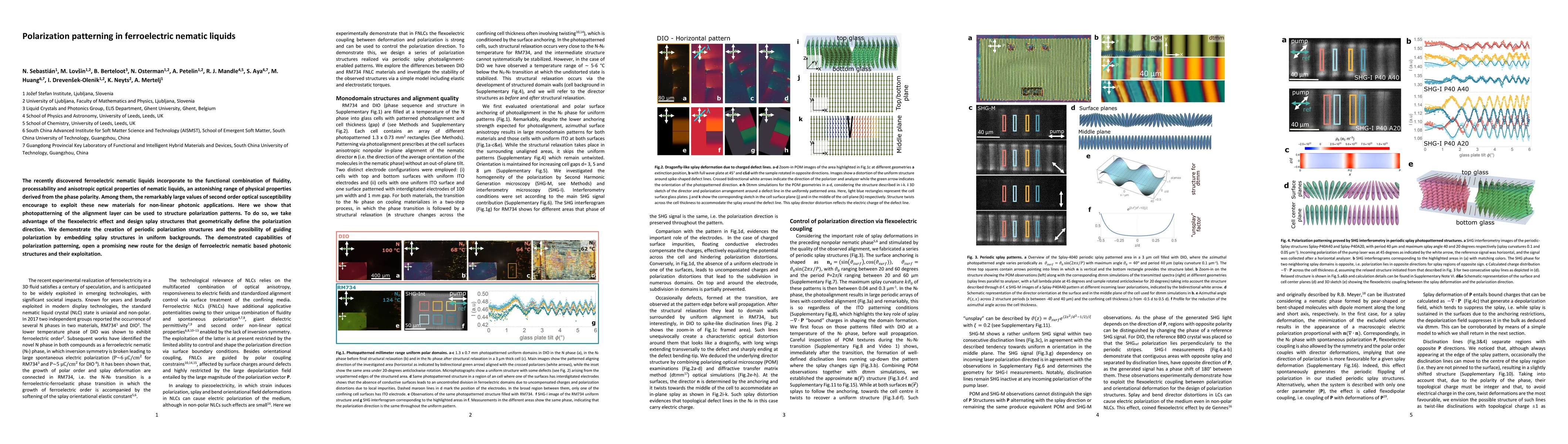 Thumbnail for Polarization patterning in ferroelectric nematic liquids