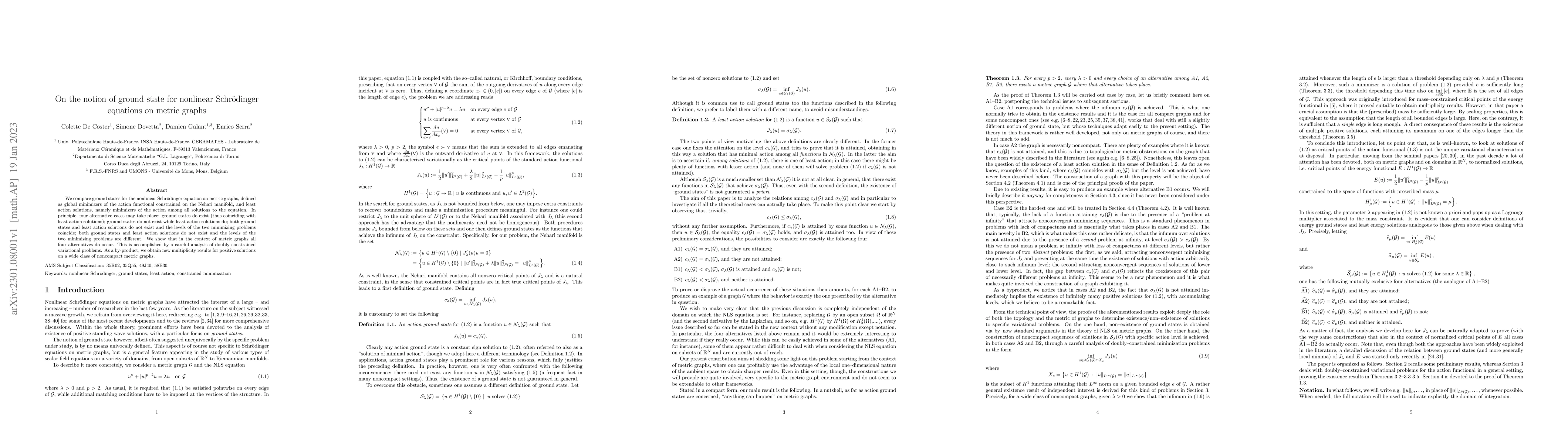 Thumbnail for On the notion of ground state for nonlinear Schr\"odinger equations on
  metric graphs