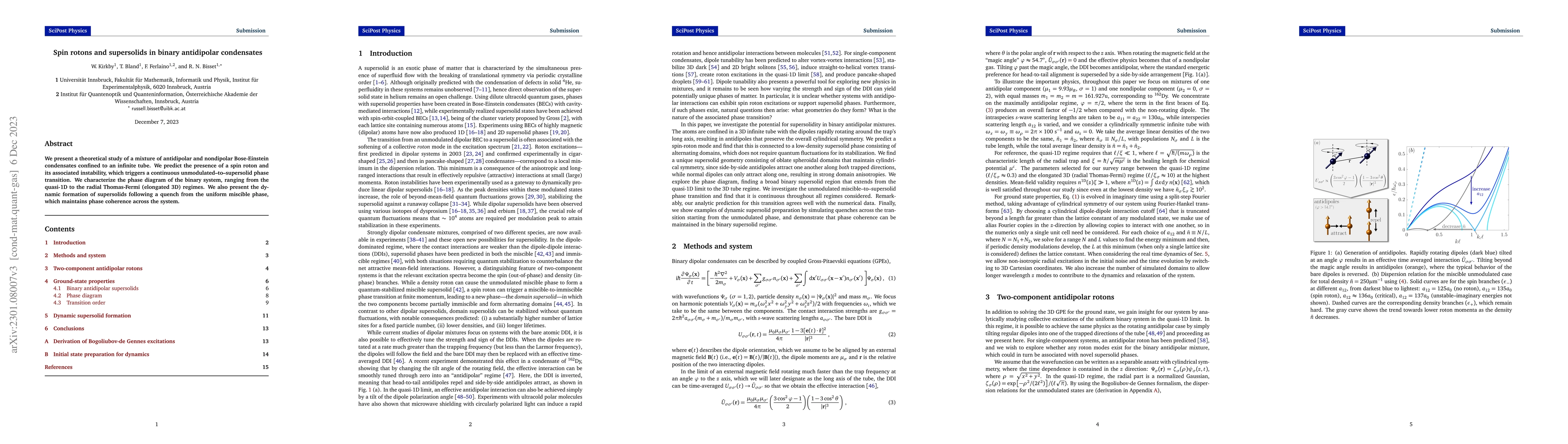 Thumbnail for Spin rotons and supersolids in binary antidipolar condensates