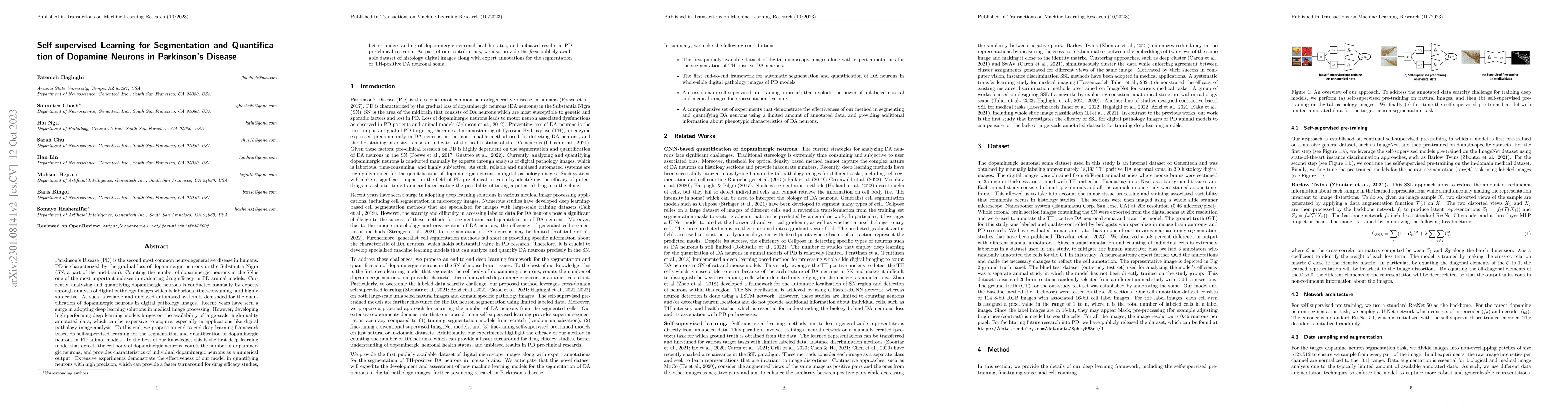Thumbnail for Self-supervised Learning for Segmentation and Quantification of Dopamine
  Neurons in Parkinson's Disease