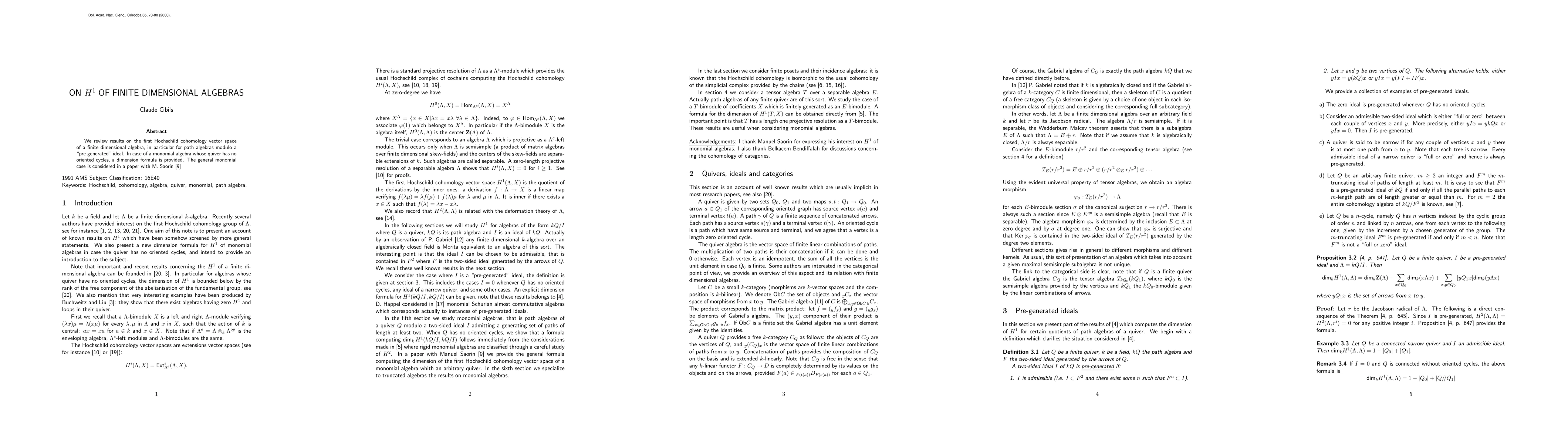 Thumbnail for On $H^1$ of finite dimensional algebras