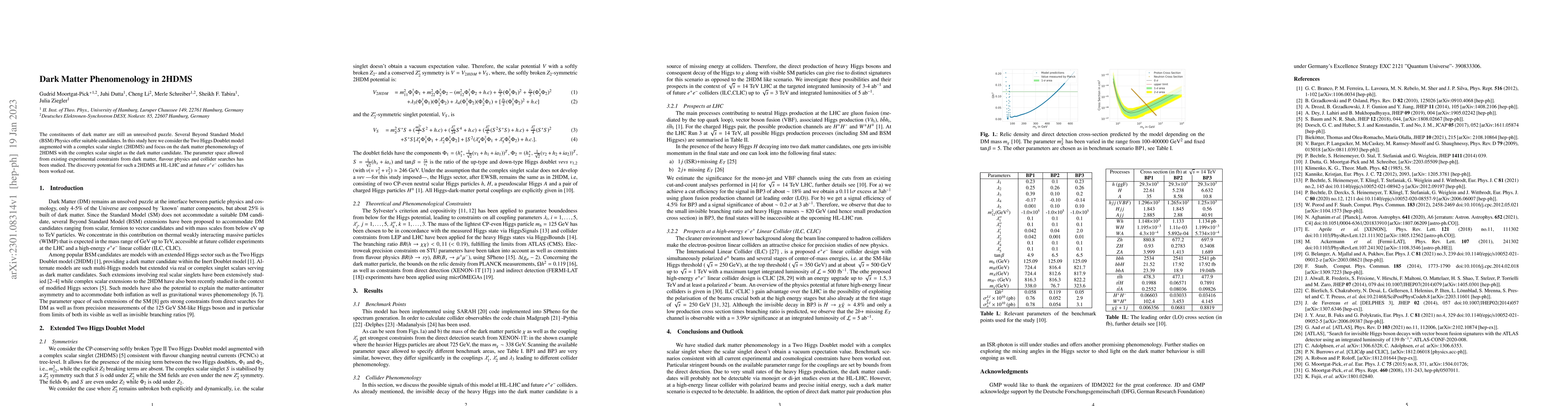 Thumbnail for Dark Matter Phenomenology in 2HDMS