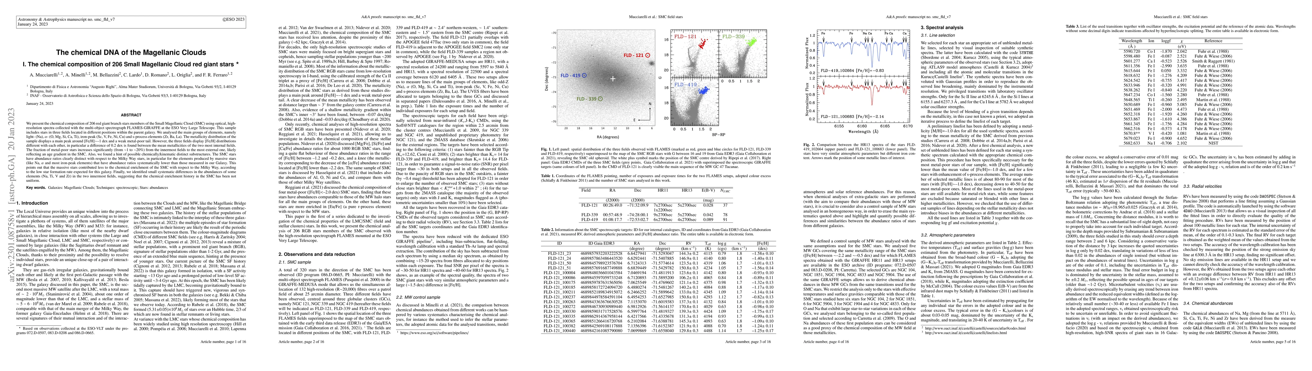 Thumbnail for The chemical DNA of the Magellanic Clouds -- I. The chemical composition
  of 206 Small Magellanic Cloud red giant stars