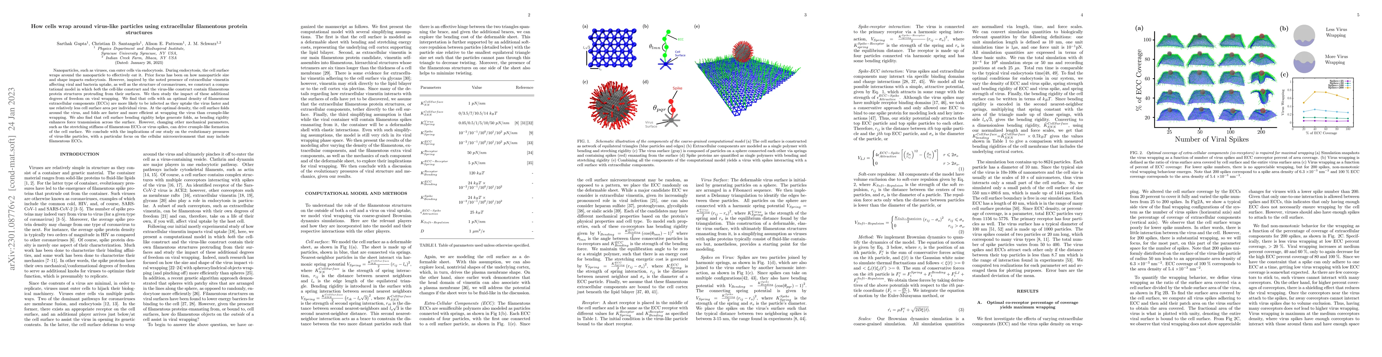Thumbnail for How cells wrap around virus-like particles using extracellular
  filamentous protein structures